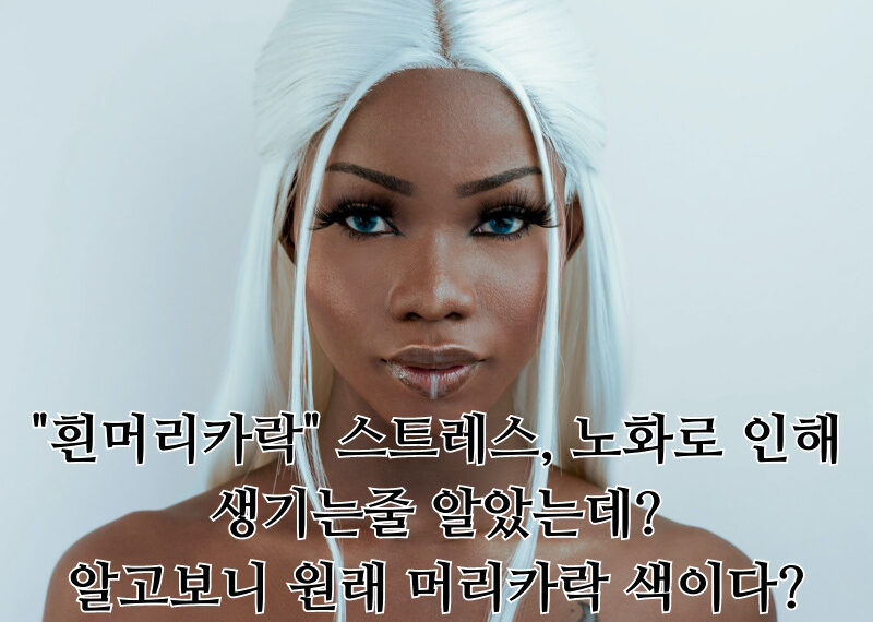 오늘은 언제 잠을 잘까 20 800x570