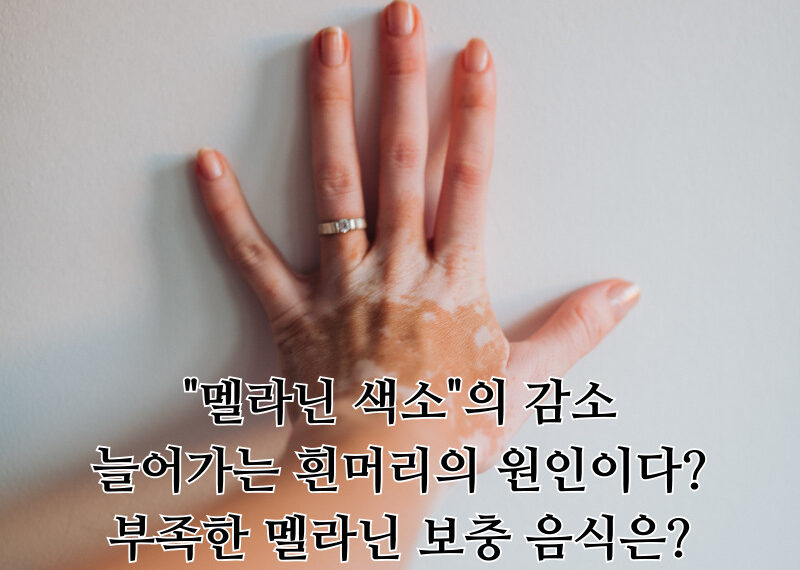 오늘은 언제 잠을 잘까 5 800x570