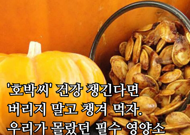 오늘은 언제 잠을 잘까 31 800x570